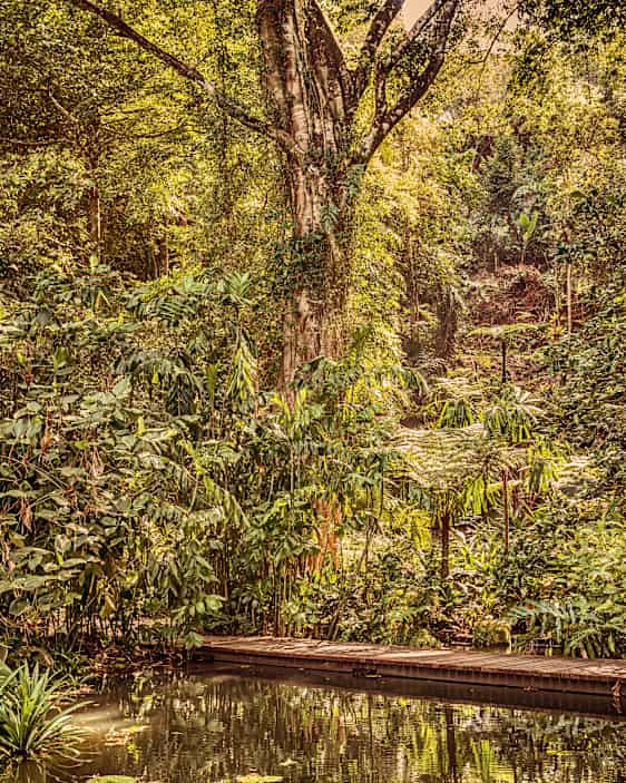 Tropical Spice Garden, Penang