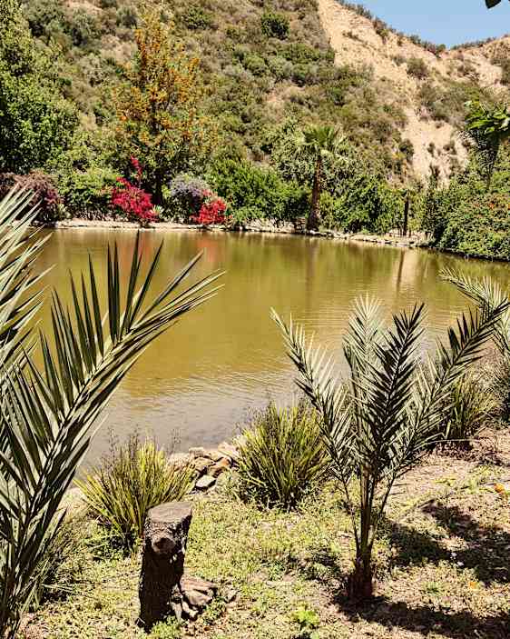 Kretas botaniska trädgård