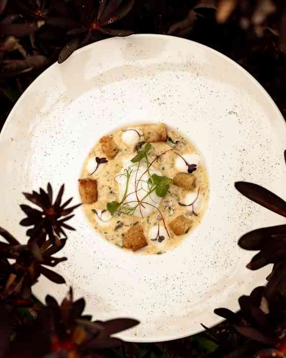 Maträtt sedd från ovan