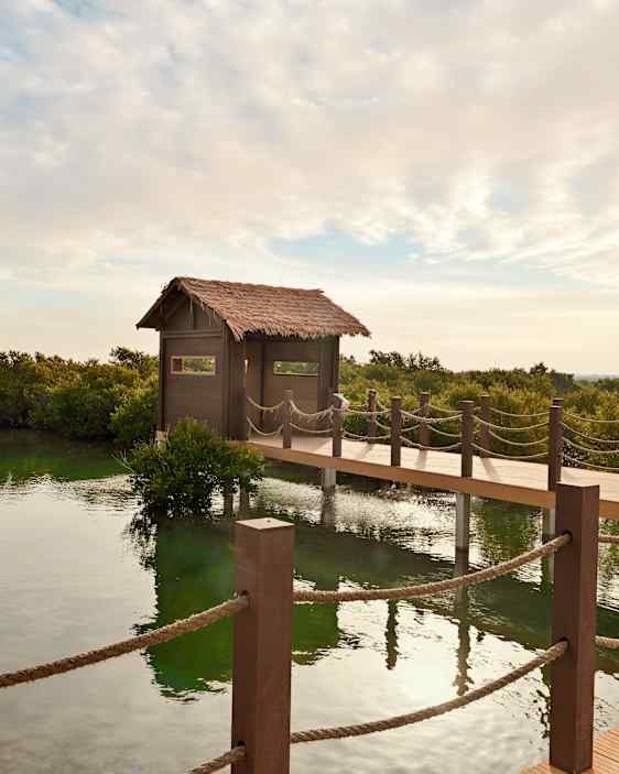 Al Thakira Mangrover Forest