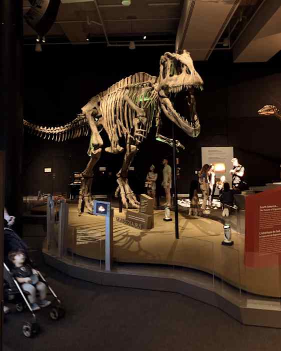 Vetenskapsmuseum i Miami