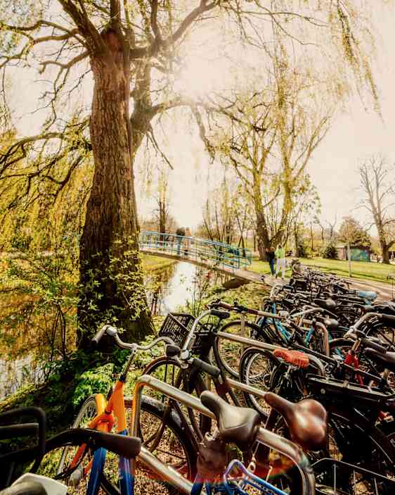 Parkerade cyklar intill kanal i Vondelpark