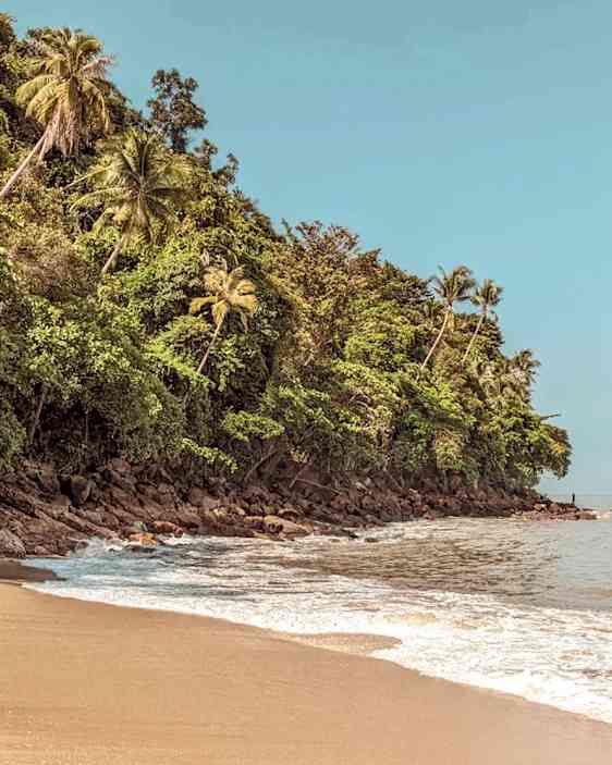 Vacker tropisk strand