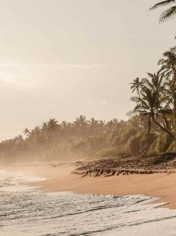 Strand på Sri Lanka