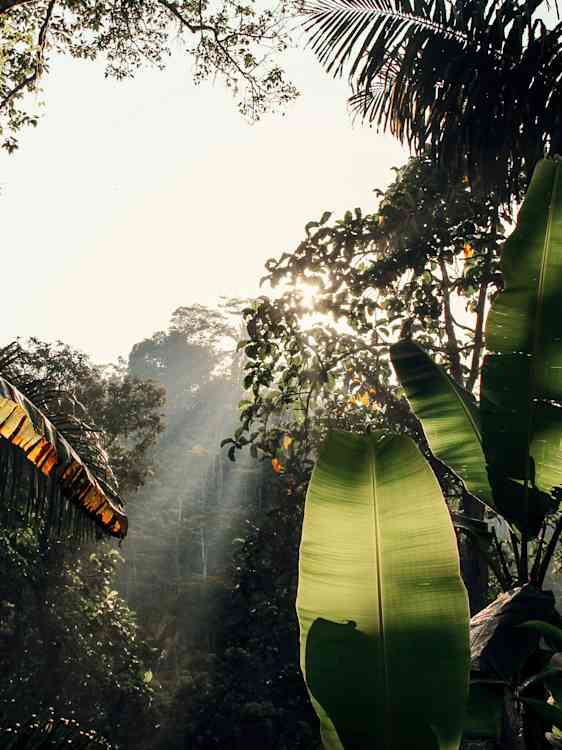 Bali, Indonesien