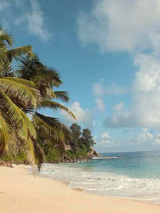 Seychellerna