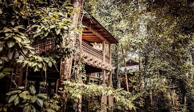 Rainforest Villa