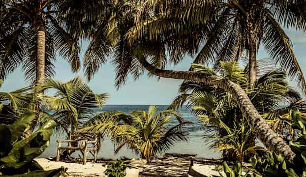 En sandstrand med palmer och hav i bakgrunden. (AI-genererad text)