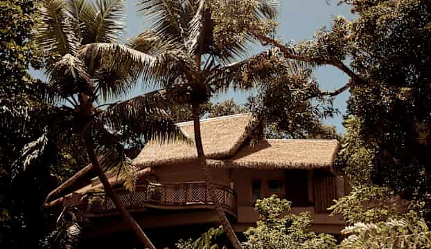 Byggnad med halmtak omgiven av grönskande palmer. (AI-genererad text)