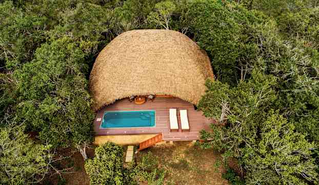 Luftbild av en bungalow med halmtak, omgiven av skog, med en träterrass och en liten pool. (AI-genererad text)