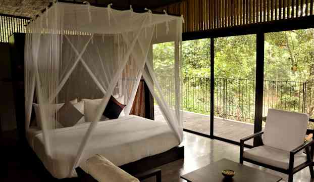 Ett sovrum med en säng försedd med myggnät och utsikt mot gröna träd genom stora fönster. (AI-genererad text)