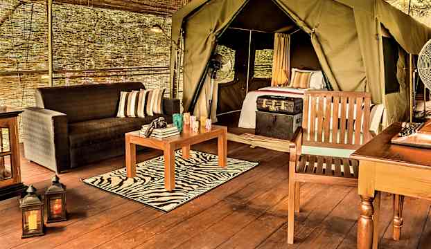 Luxury Suite Tent