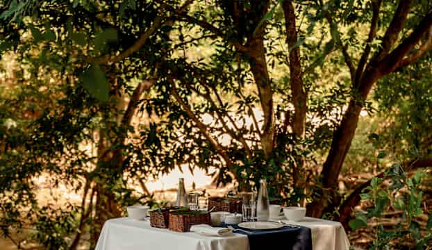 Udawalawe Elefant-safari