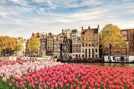 Blomstring I Amsterdam () Blomstring I Amsterdam