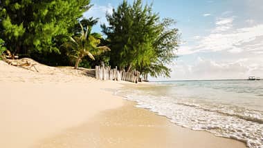 The Denis Island