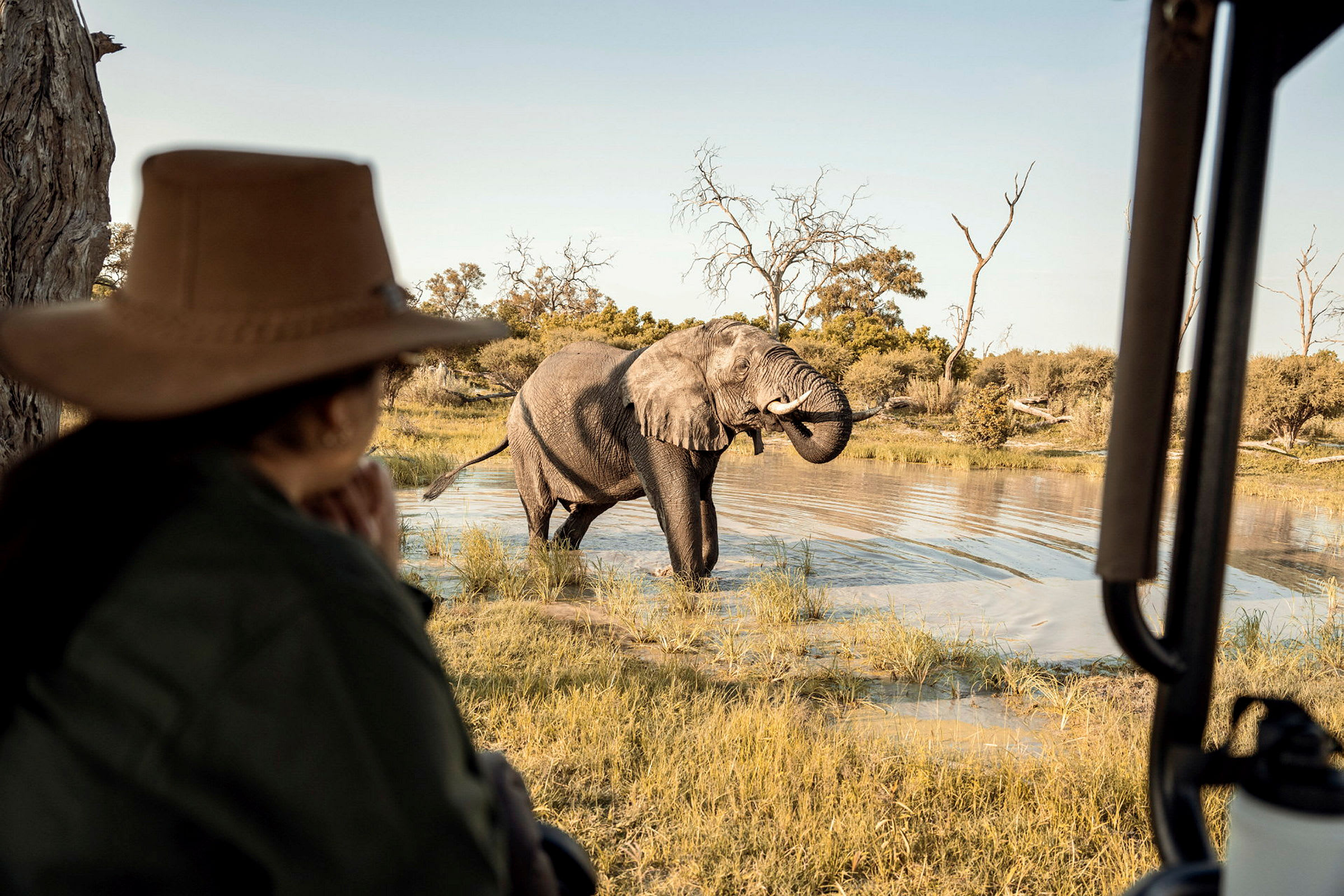 Elefant i en vattenkälla observeras av en person på safari. (AI-genererad text)