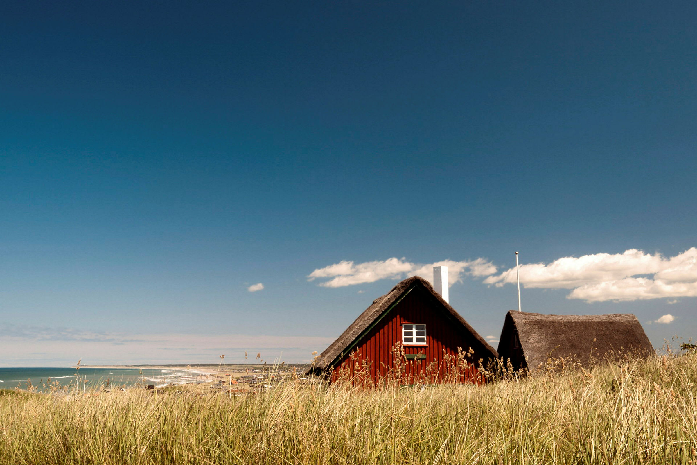 Två röda hus med halmtak omgivna av högt gräs och en kustlinje i bakgrunden. (AI-genererad text)