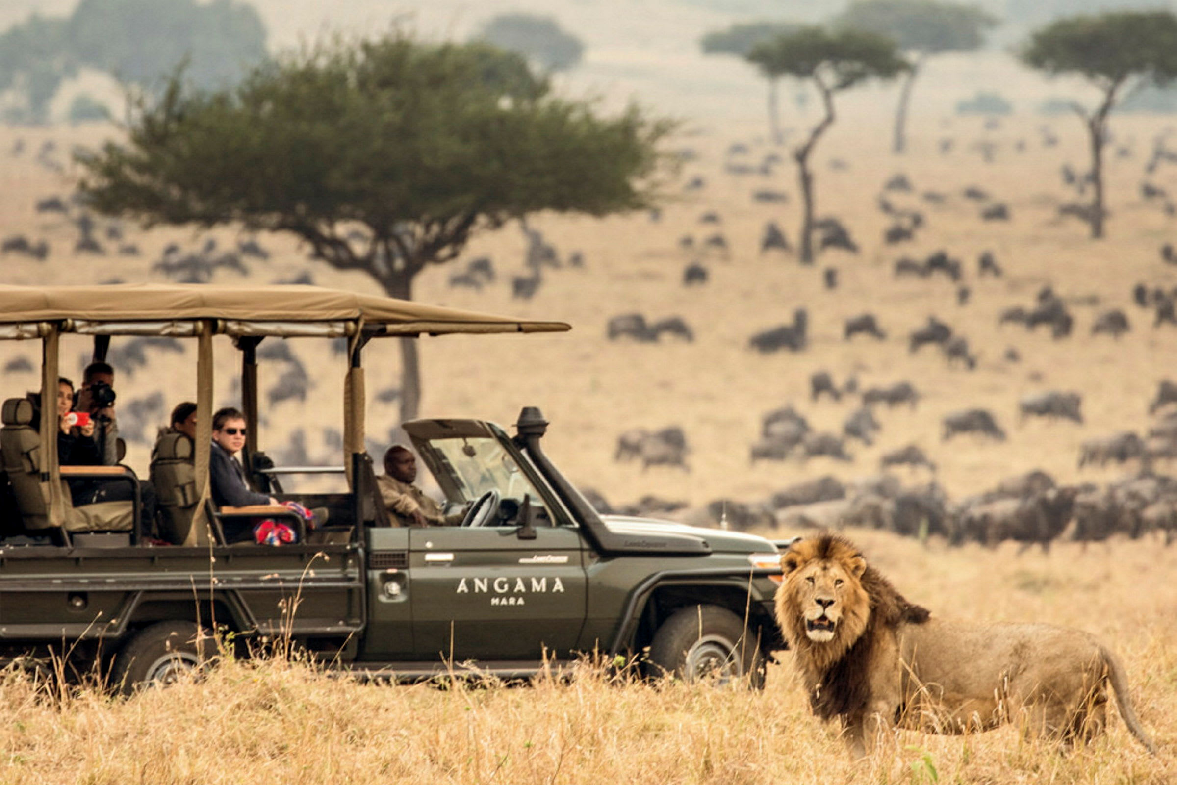 En safaribil står på en savann nära en lejonhanne. (AI-genererad text)