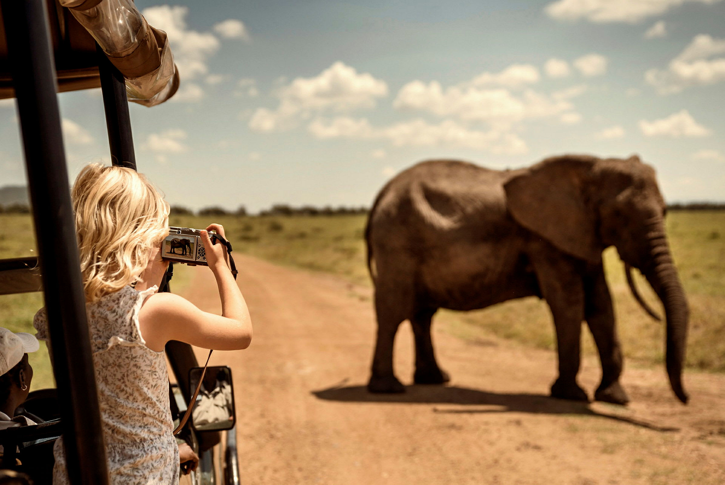 En person fotar en elefant från en bil. (AI-genererad text)