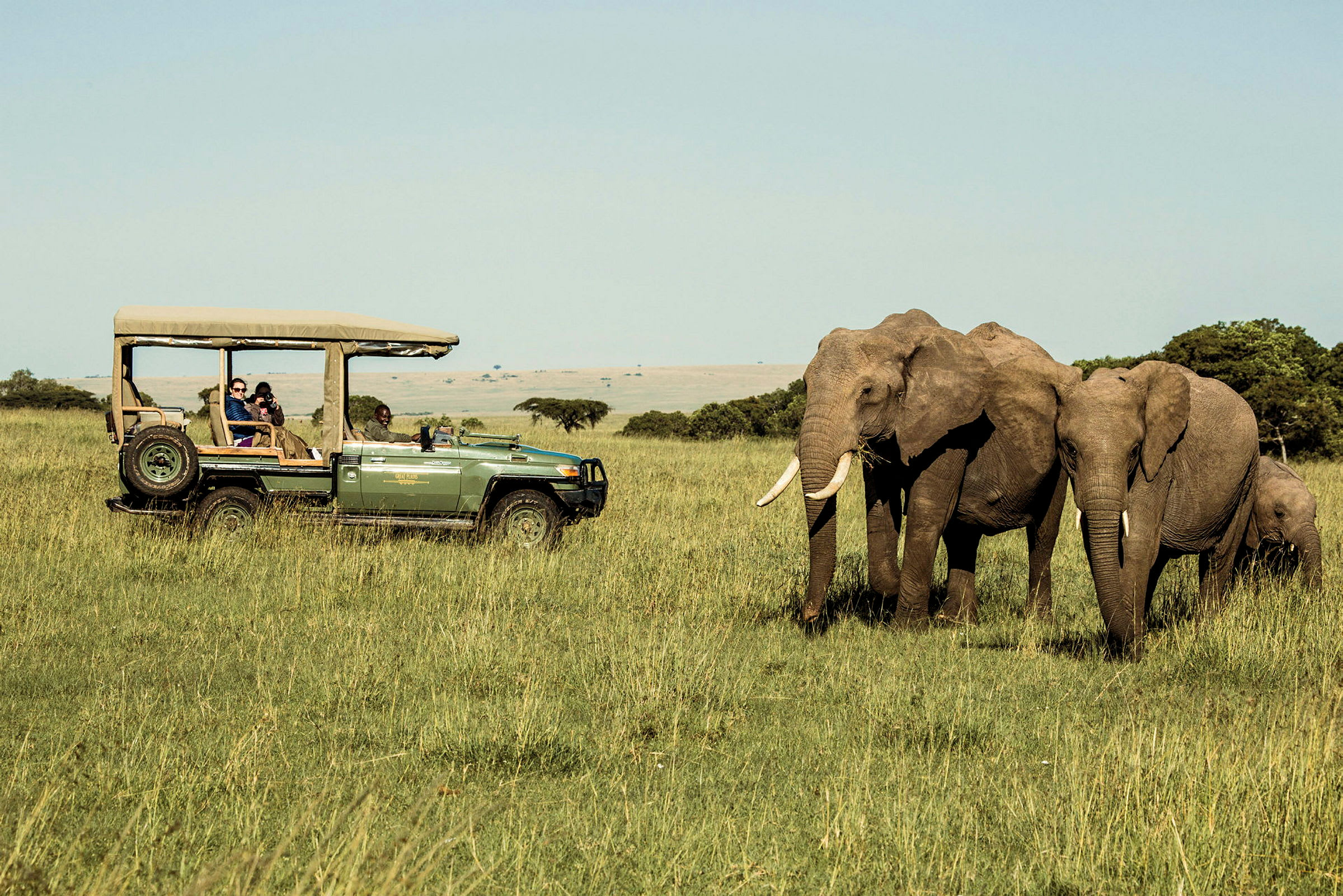 En grupp elefanter på ett öppet fält, med ett safarifordon i närheten. (AI-genererad text)