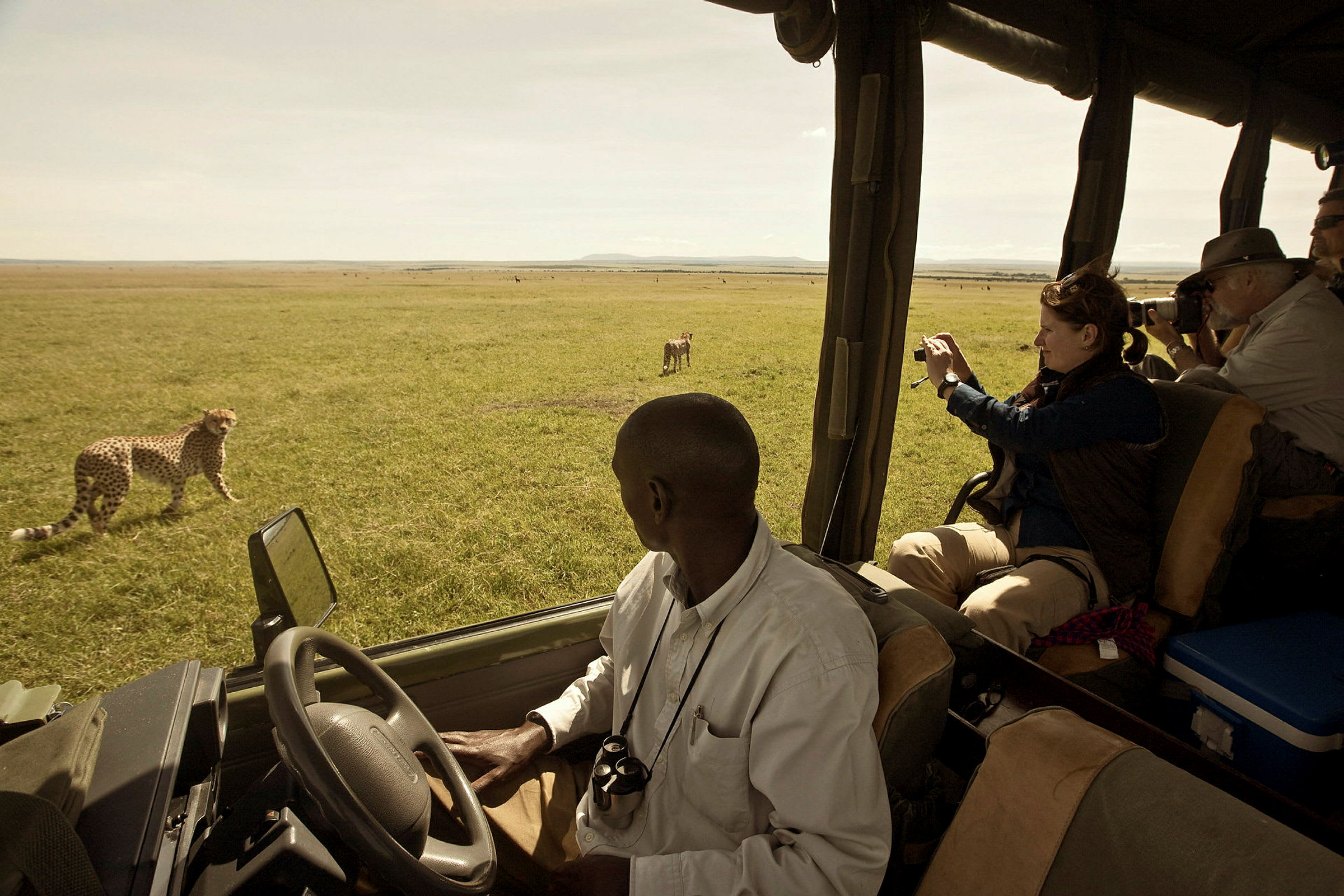 En jeep på en savann med geparder utanför. (AI-genererad text)