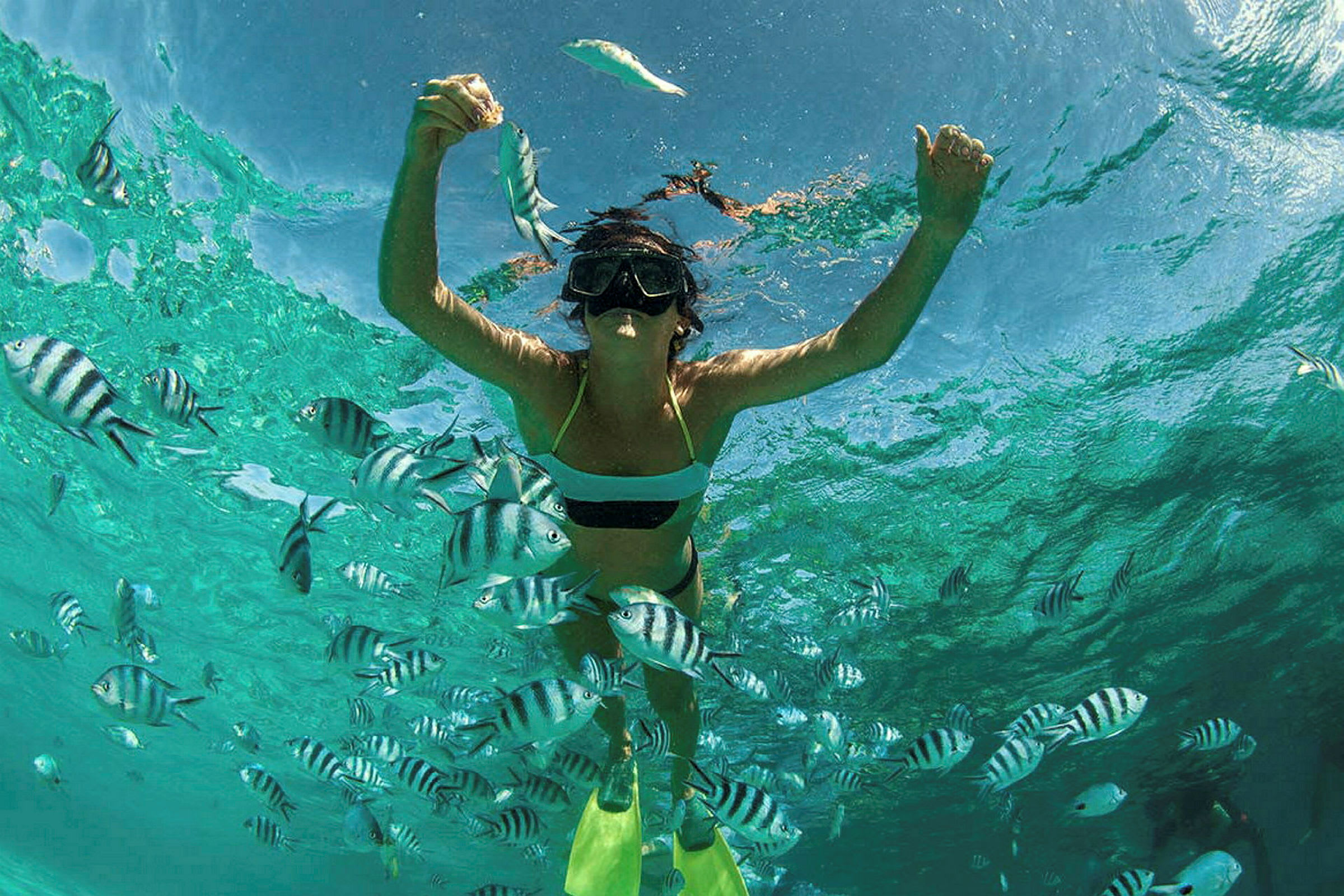 Person snorklar i klart vatten omgivet av fiskar. (AI-genererad text)