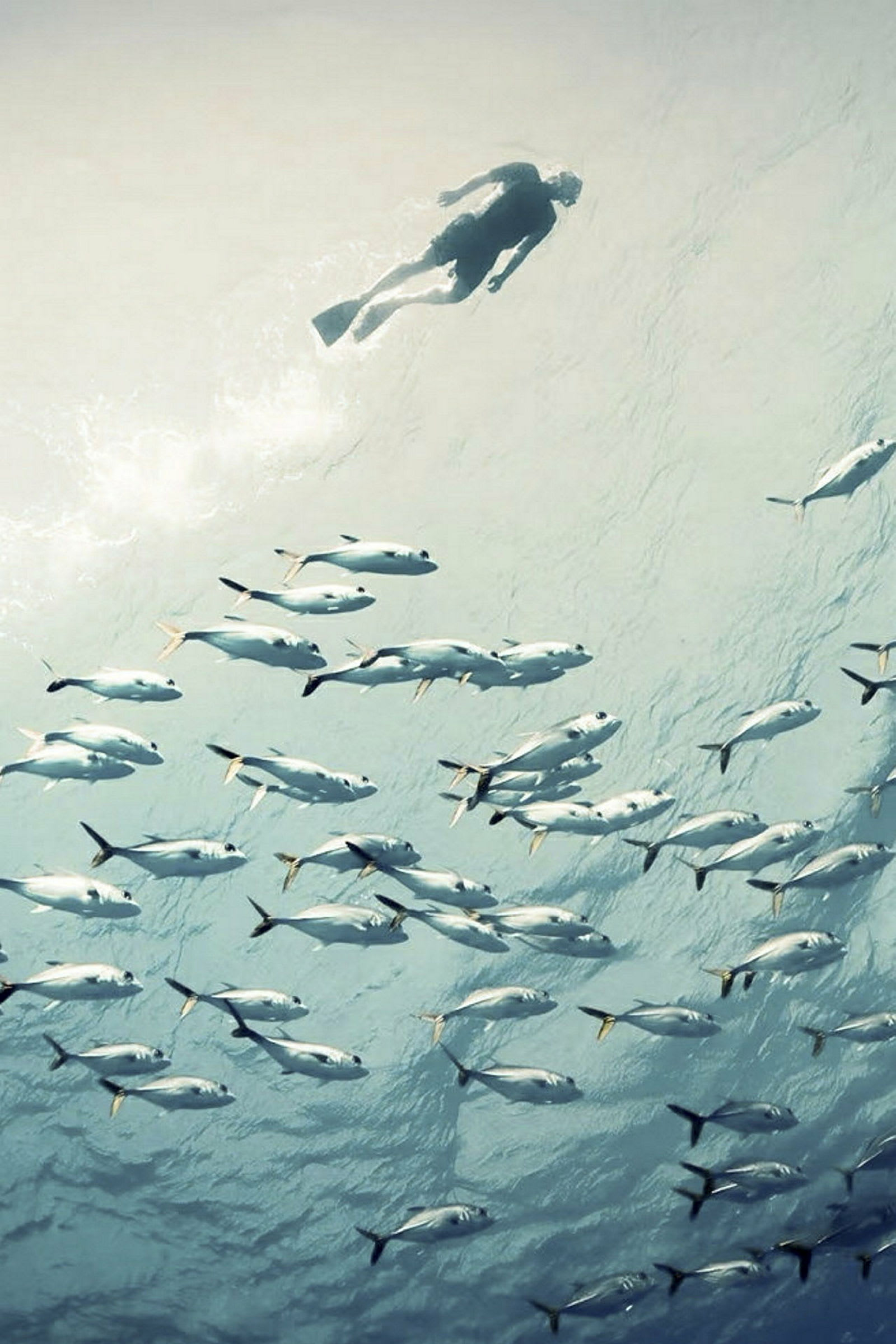 En person snorklar över en stor samling fiskar i havet. (AI-genererad text)