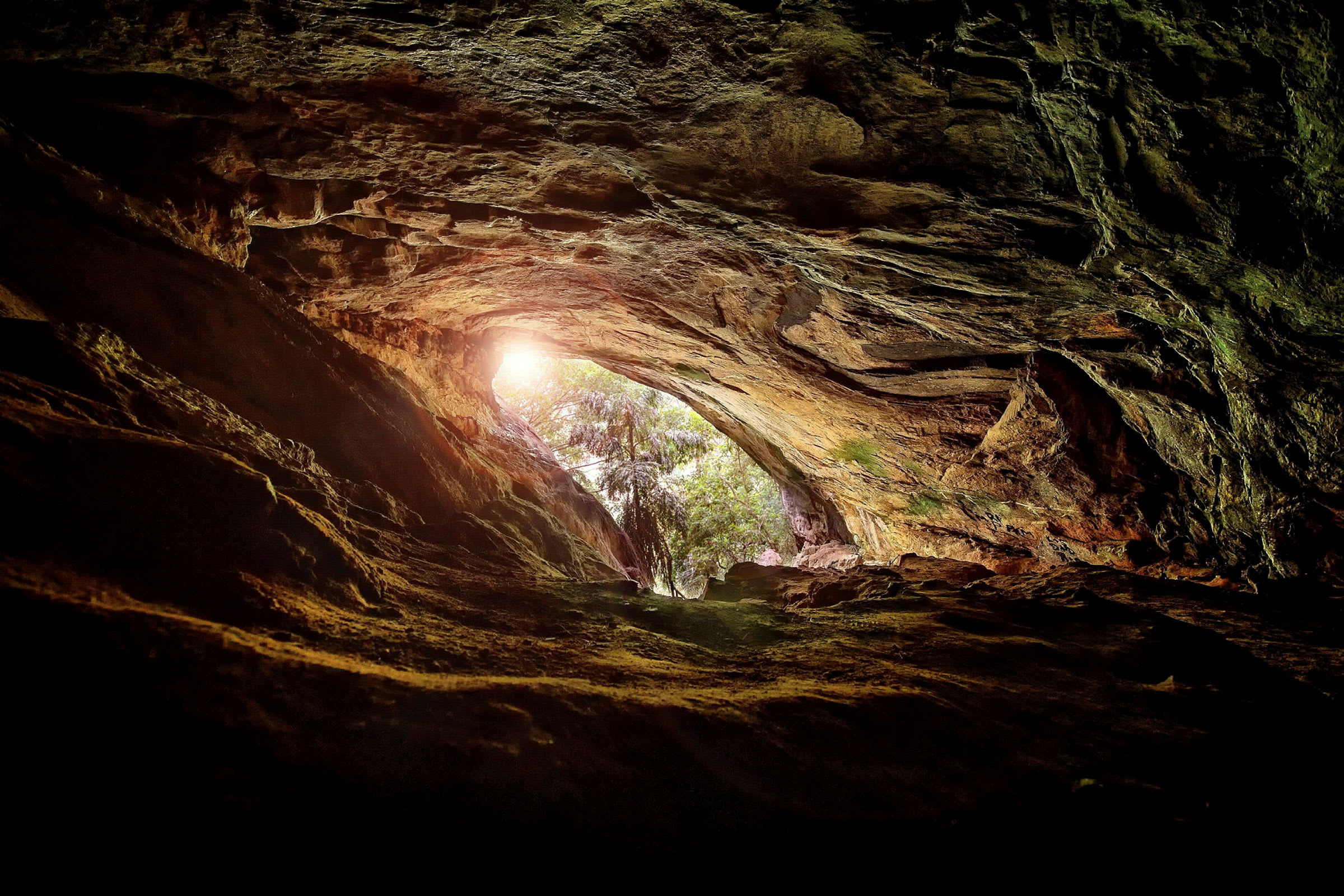 En grotta med synligt dagsljus och grönska vid öppningen. (AI-genererad text)