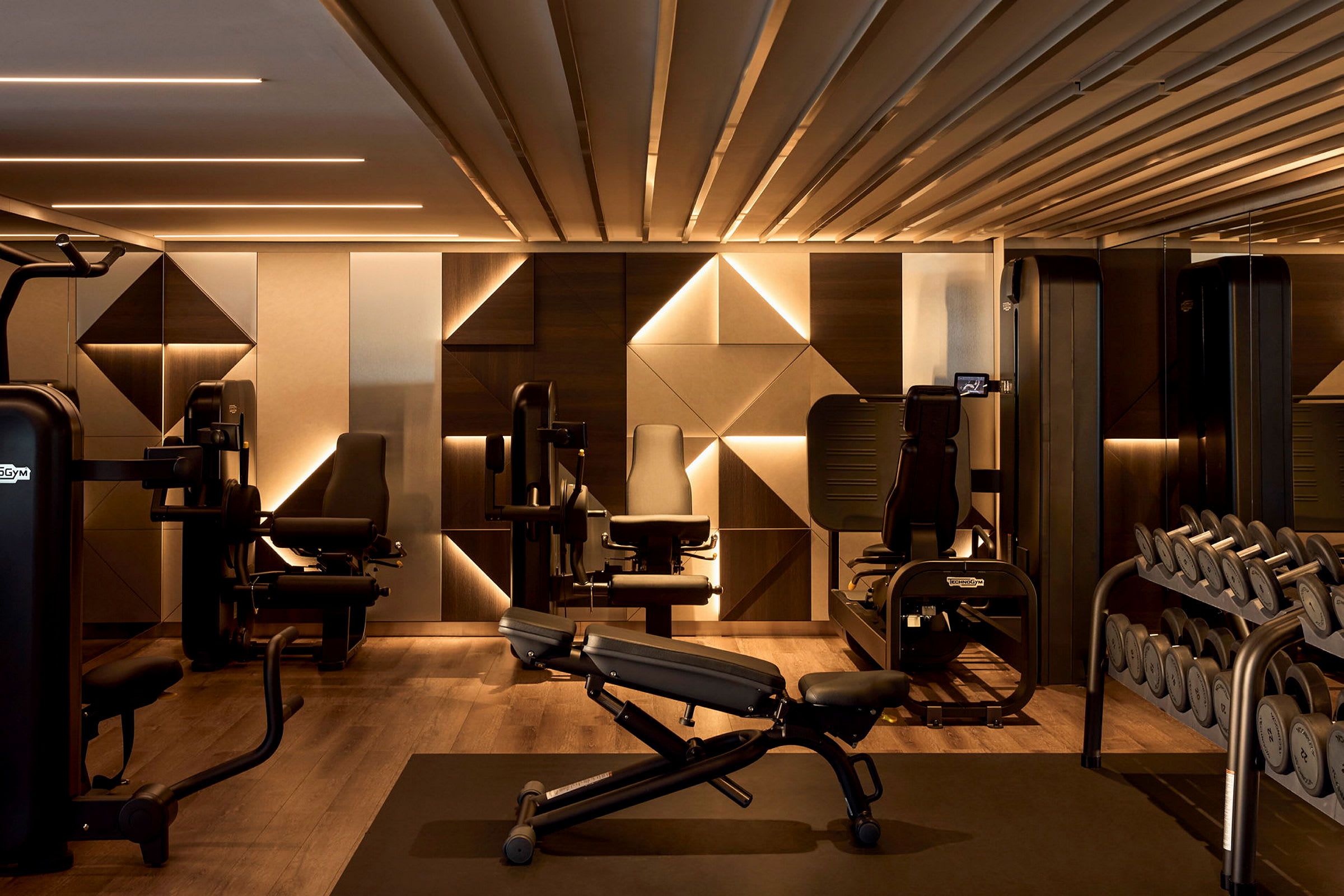 Ett gym med träningsmaskiner och hantlar. (AI-genererad text)