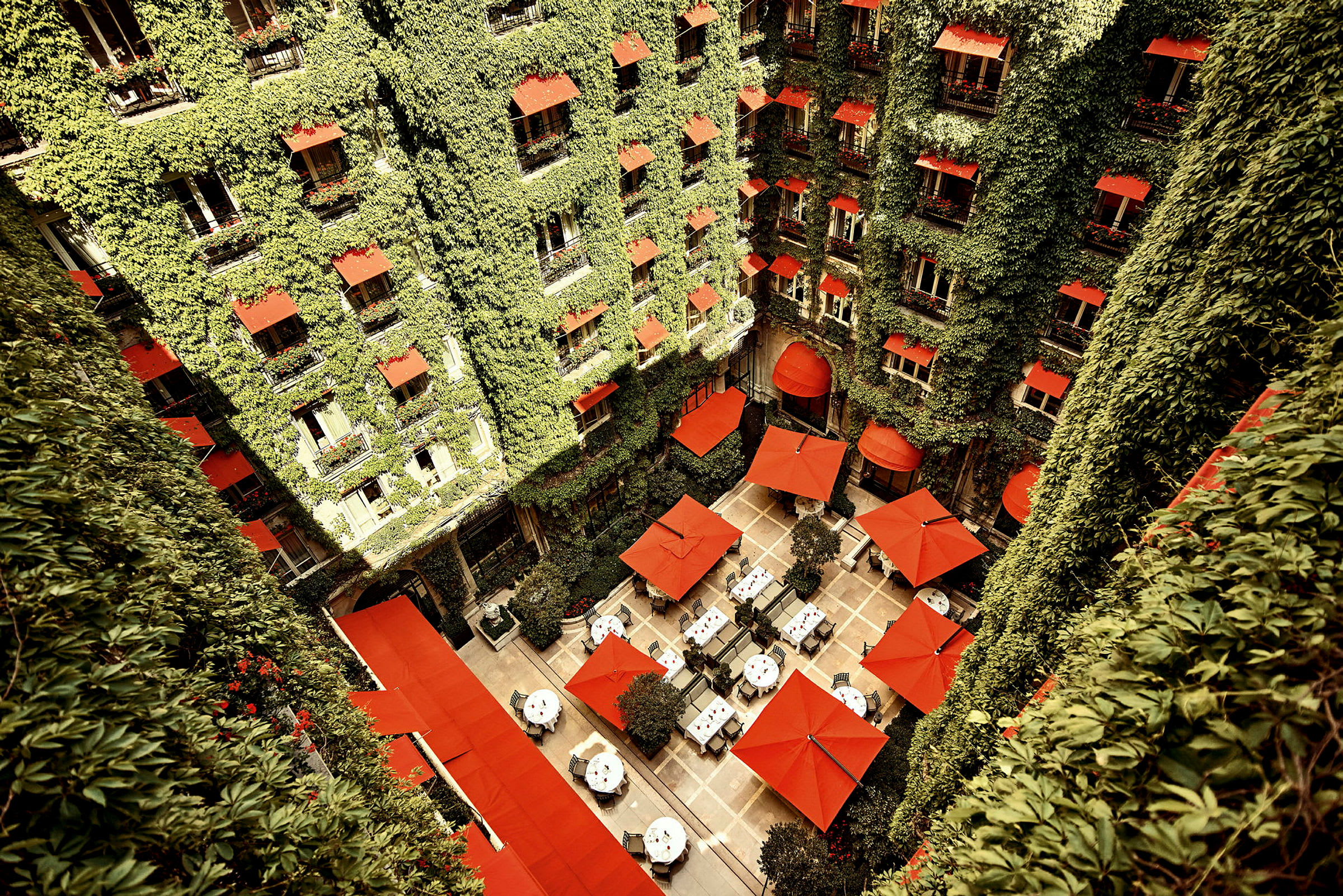 La Cour Jardin