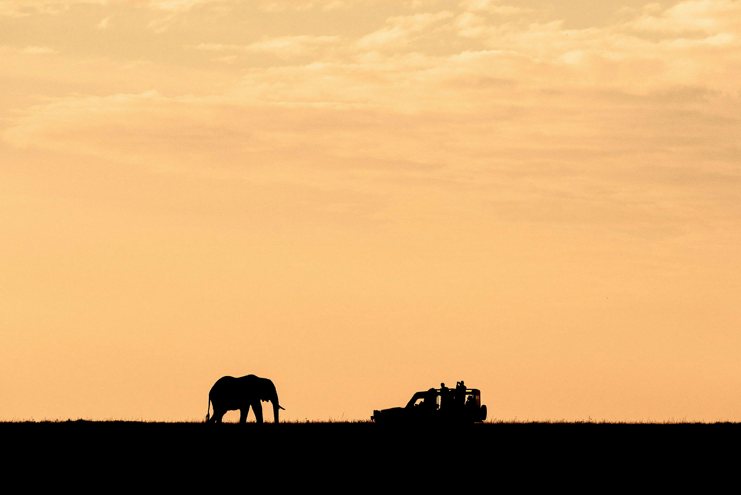 Silhuett av en elefant och en jeep mot en solnedgång. (AI-genererad text)