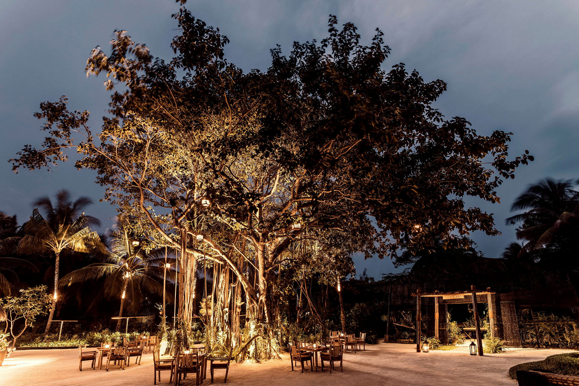 Botanica
