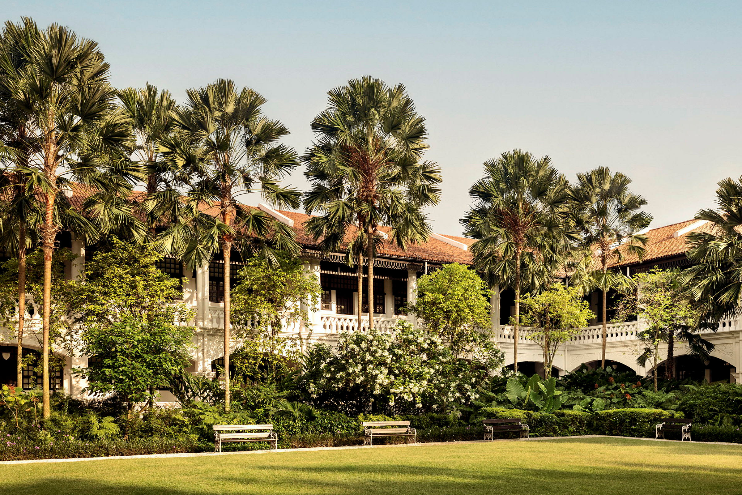 Palm court garden
