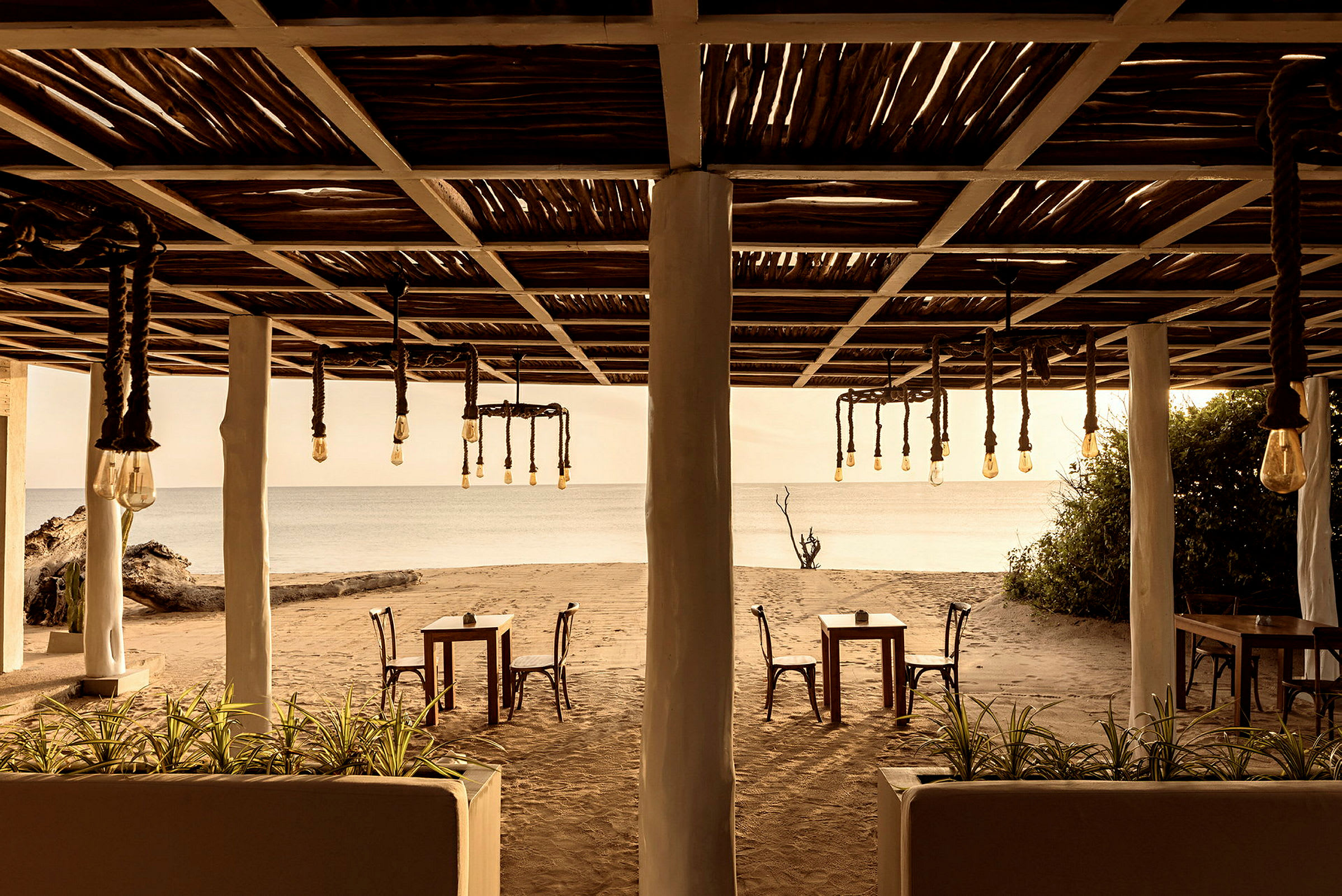 Beach Bar