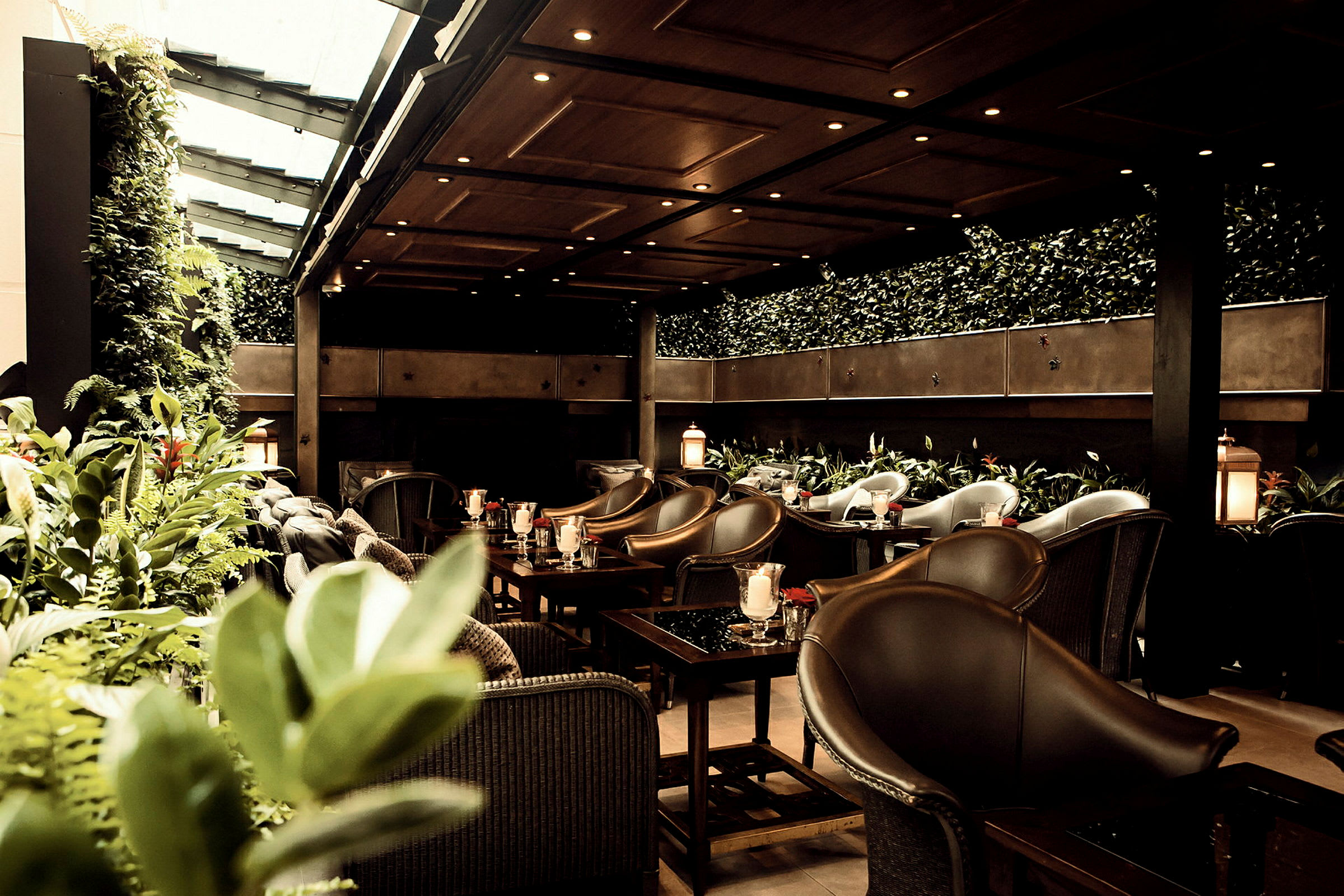 The Garden Room