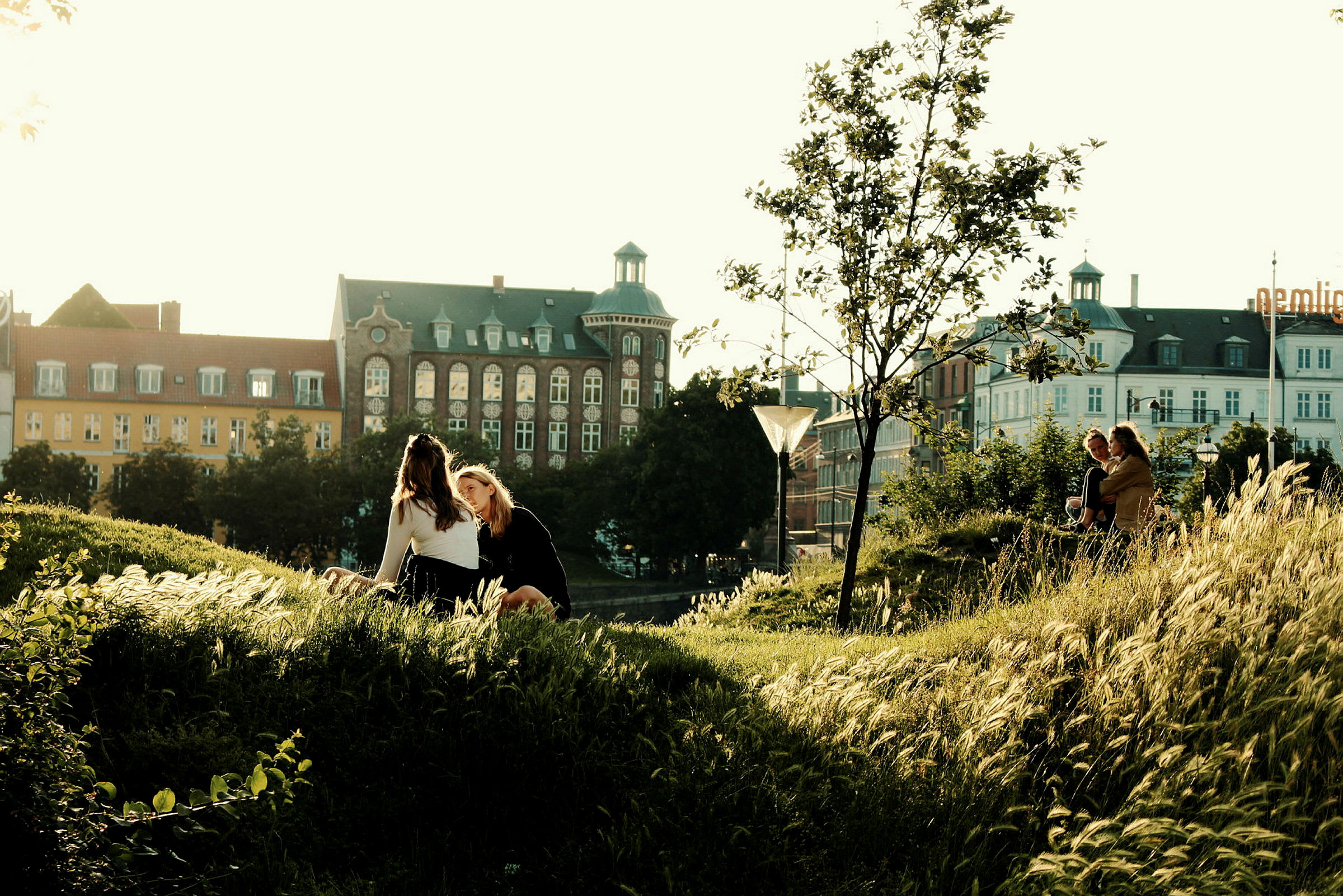 Grön park med frodig vegetation och bakgrund av byggnader i stadsmiljö. (AI-genererad text)