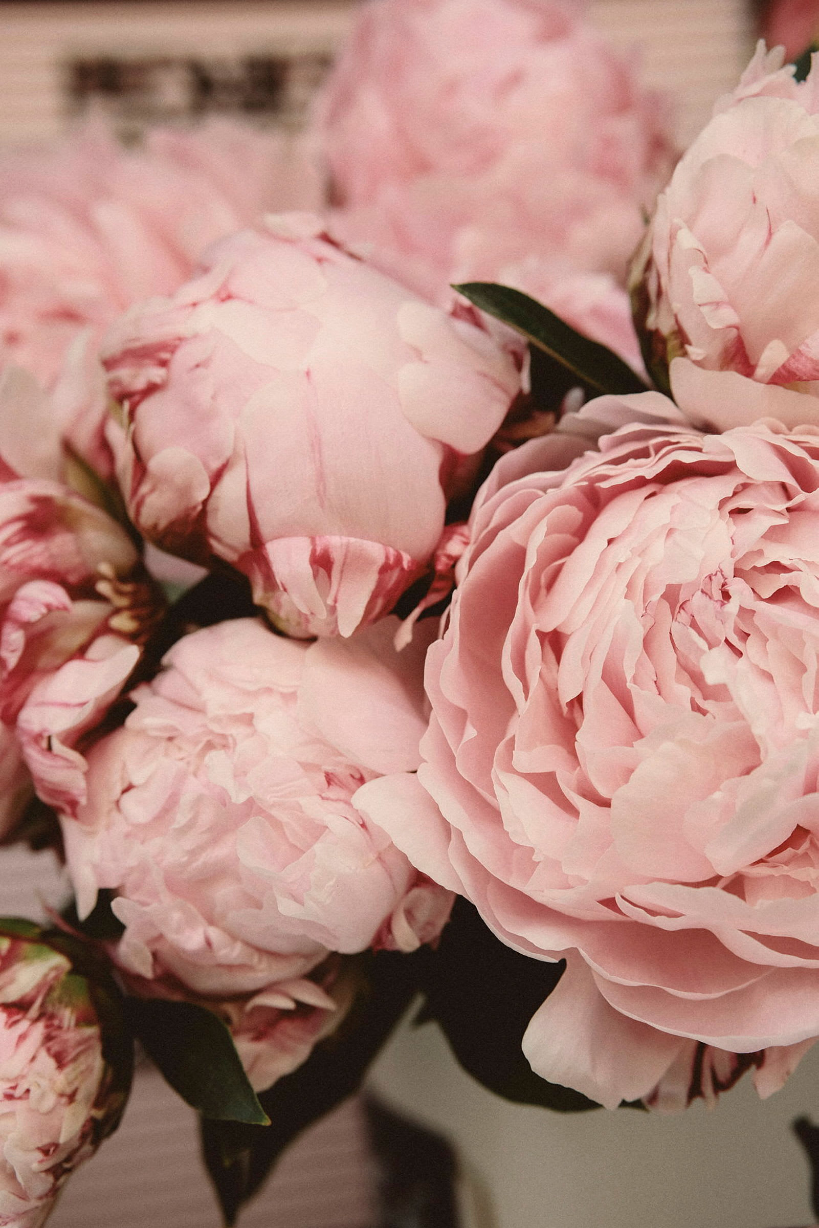 Bild av rosa pionblommor. (AI-genererad text)
