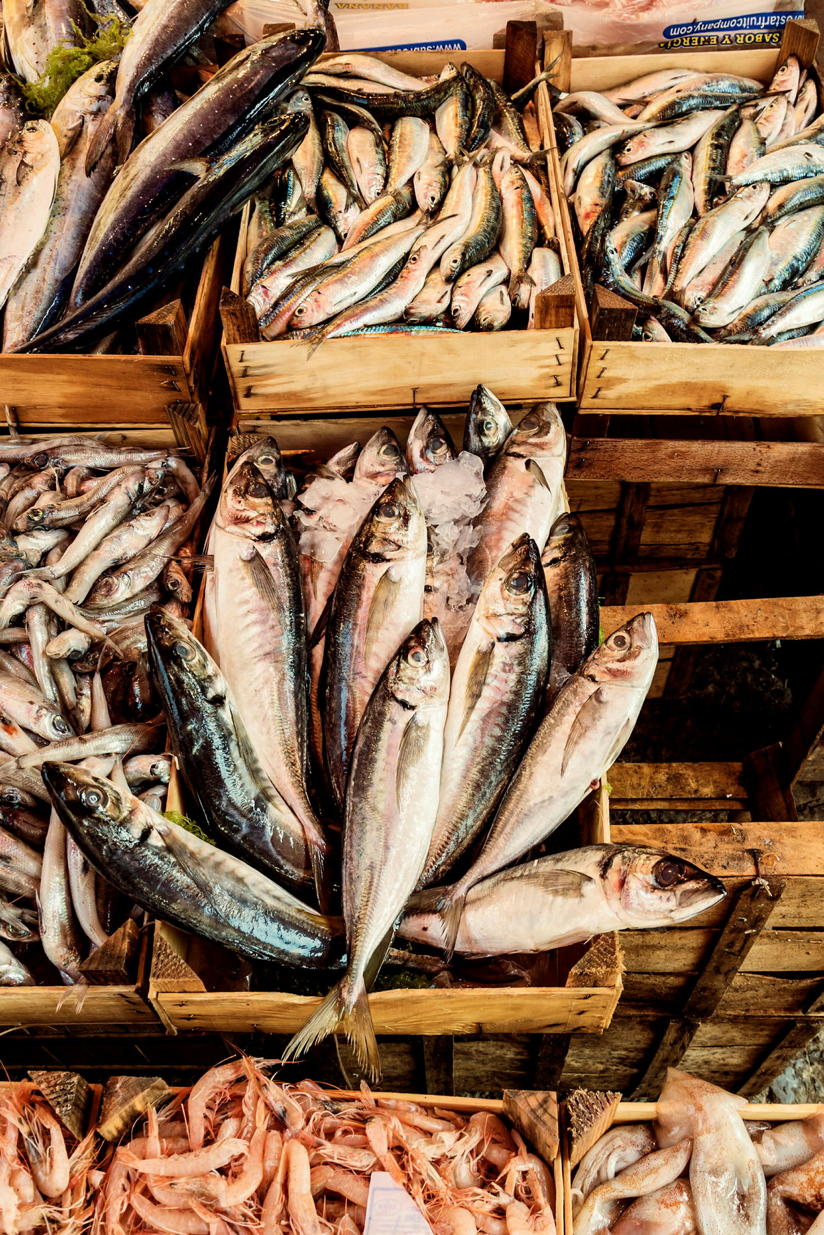Färsk fisk och skaldjur i trälådor på en marknad. (AI-genererad text)