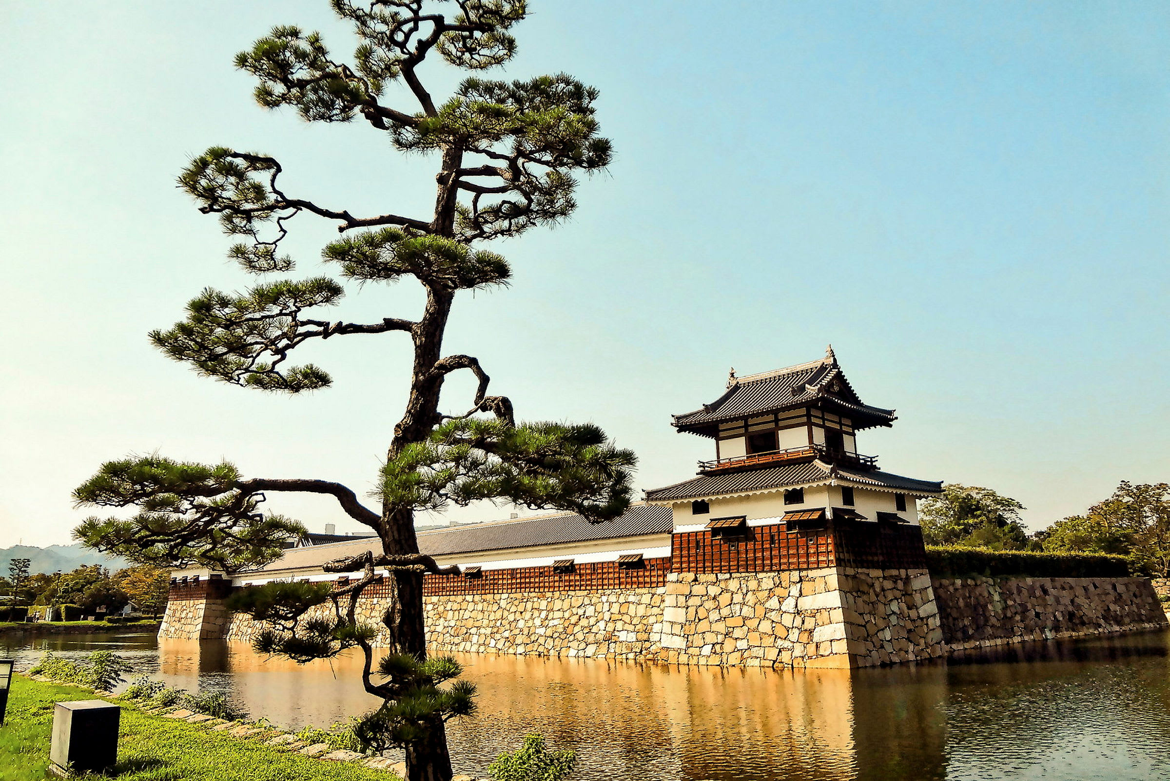 En traditionell japansk byggnad med ett träd i förgrunden vid en vattenspegel. (AI-genererad text)