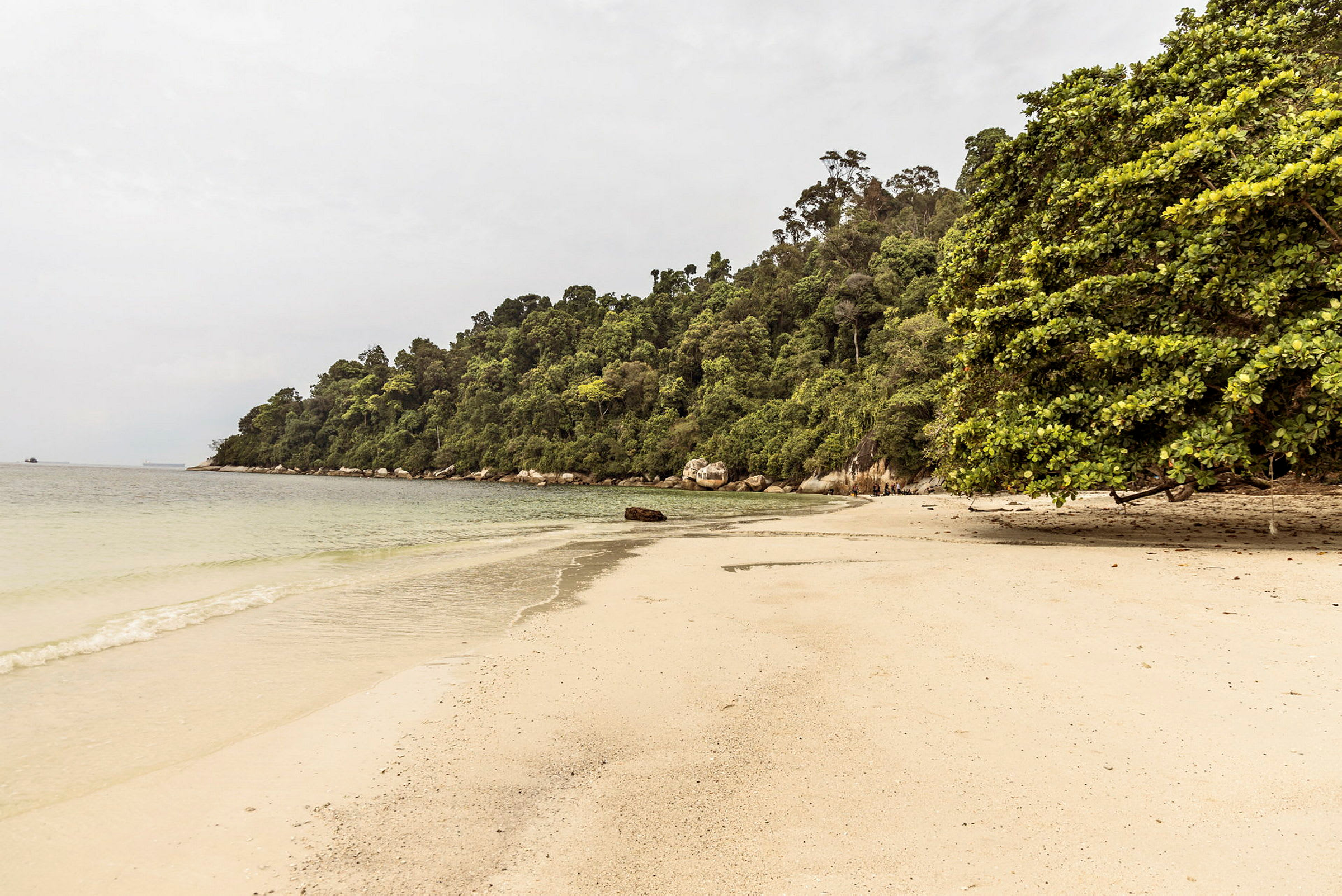 Strand med sand och grönskande skog vid havskanten. (AI-genererad text)