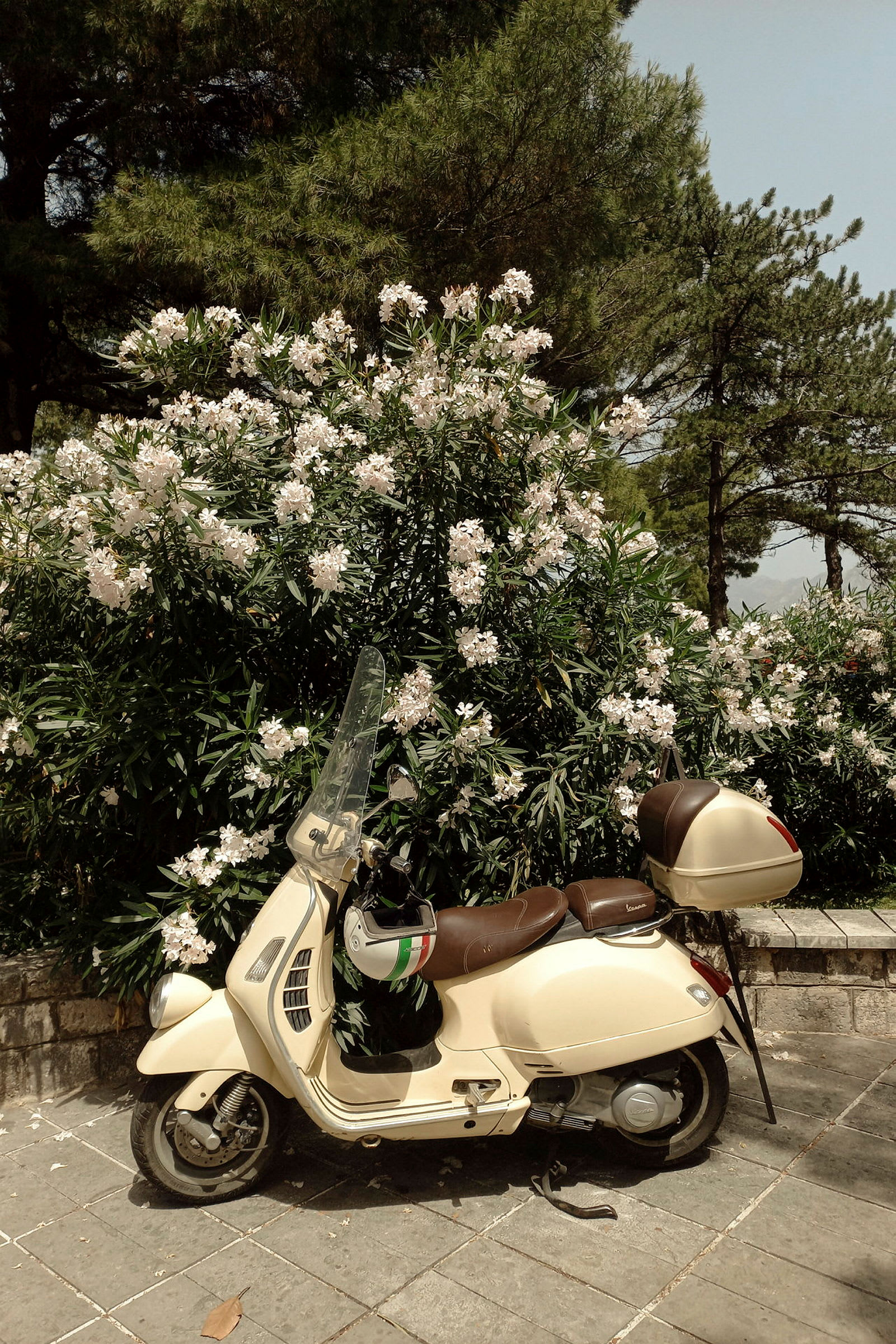 En krämvit Vespa-parkering framför blomstrande buskar. (AI-genererad text)