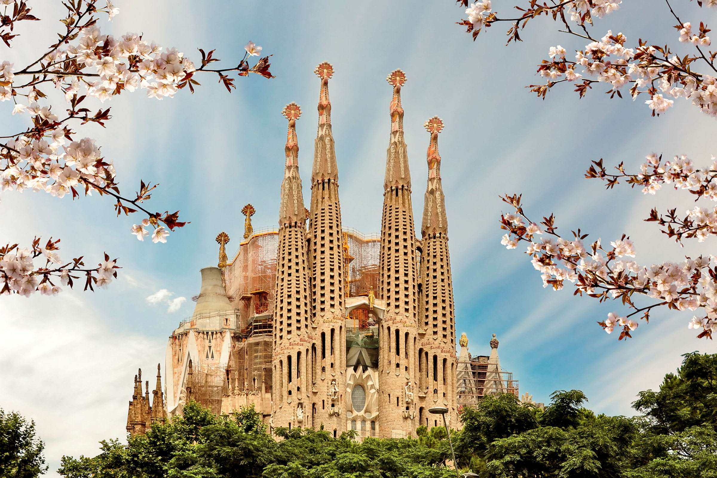Bild av Sagrada Familia med körsbärsblommor i förgrunden. (AI-genererad text)