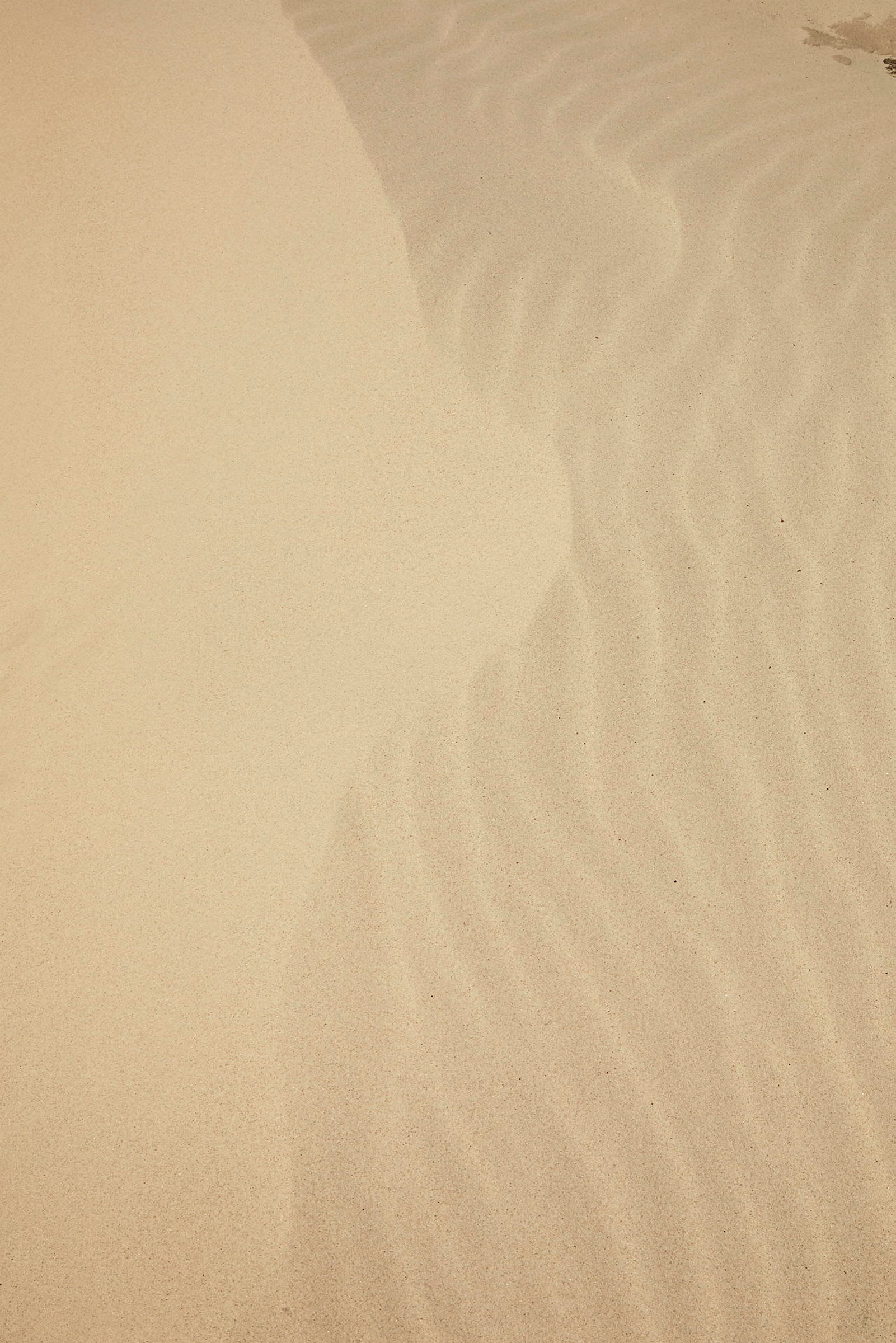 Bild av sand med vågmönster i ljusbeige färg. (AI-genererad text)
