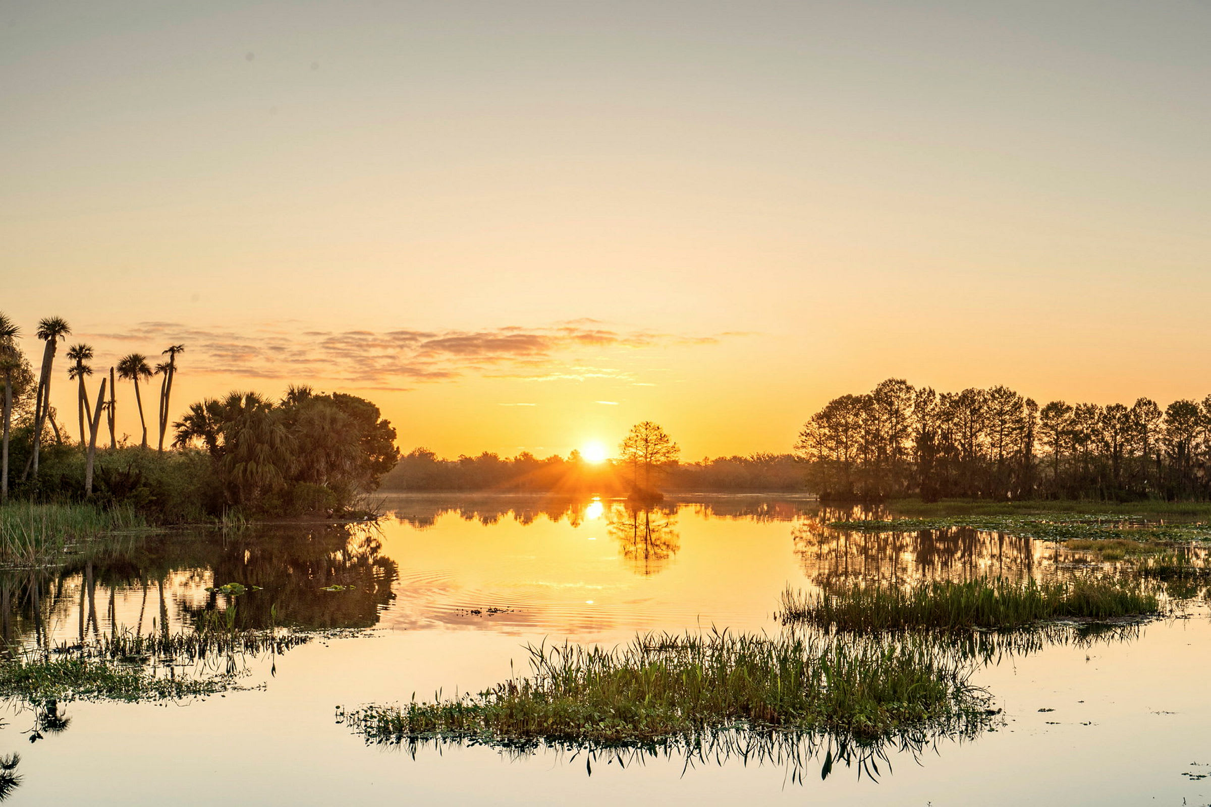 Solnedgång över en spegelblank sjö med omgivande vegetation. (AI-genererad text)
