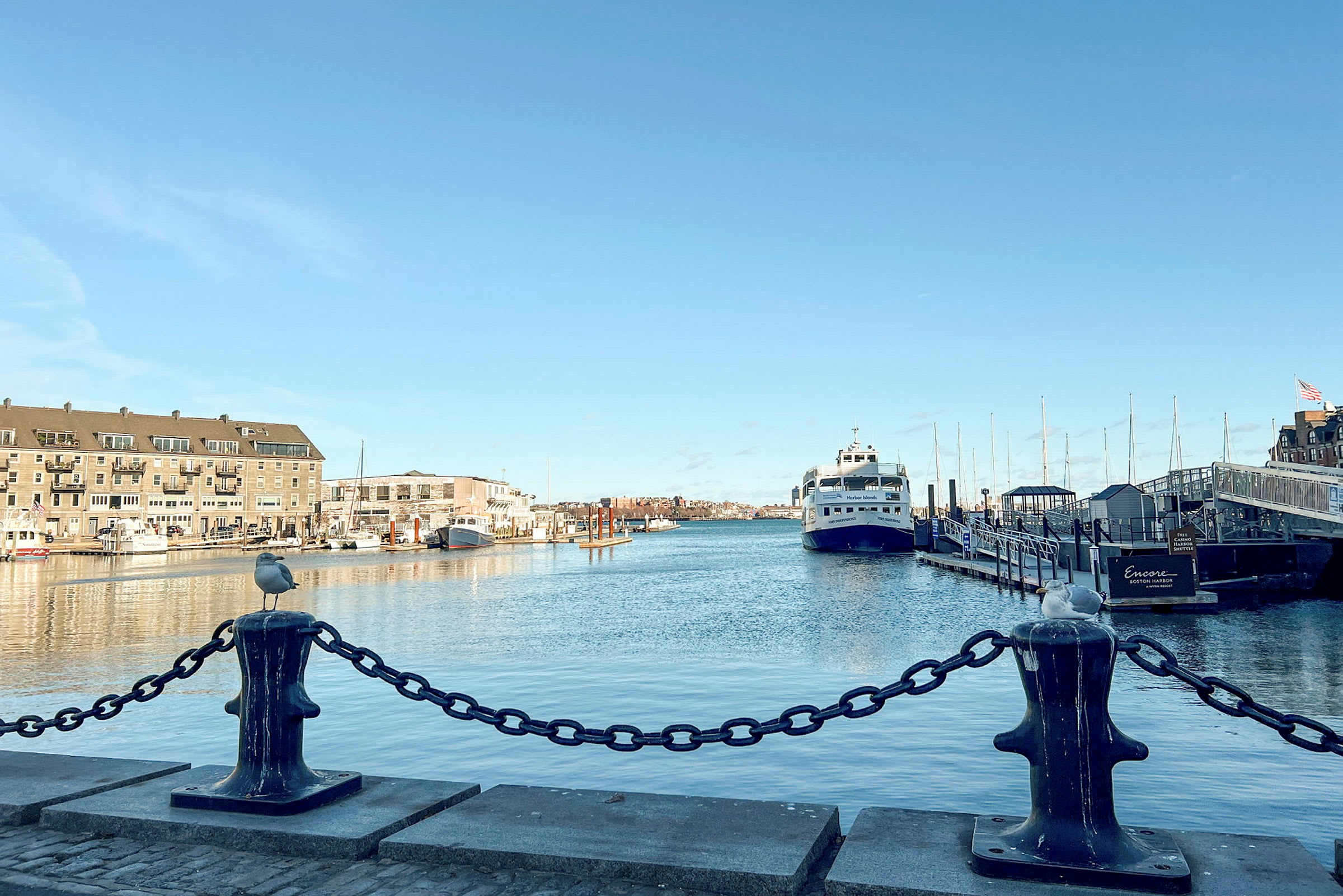 Utsikt över en hamn med en färja och byggnader i bakgrunden samt en kedja och mås i förgrunden. (AI-genererad text)