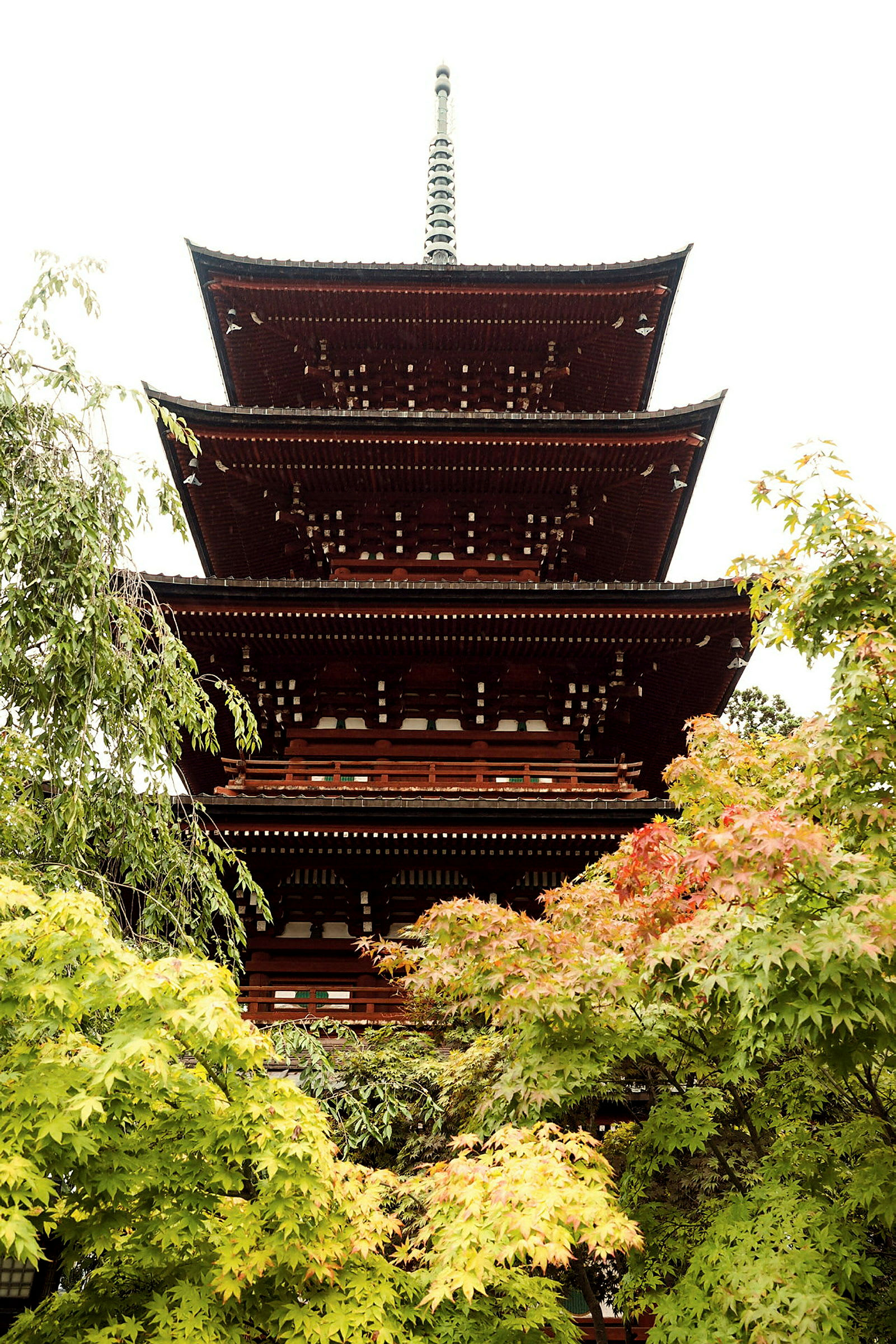 Fler våningar av en traditionell japansk pagod bakom grönskande träd. (AI-genererad text)