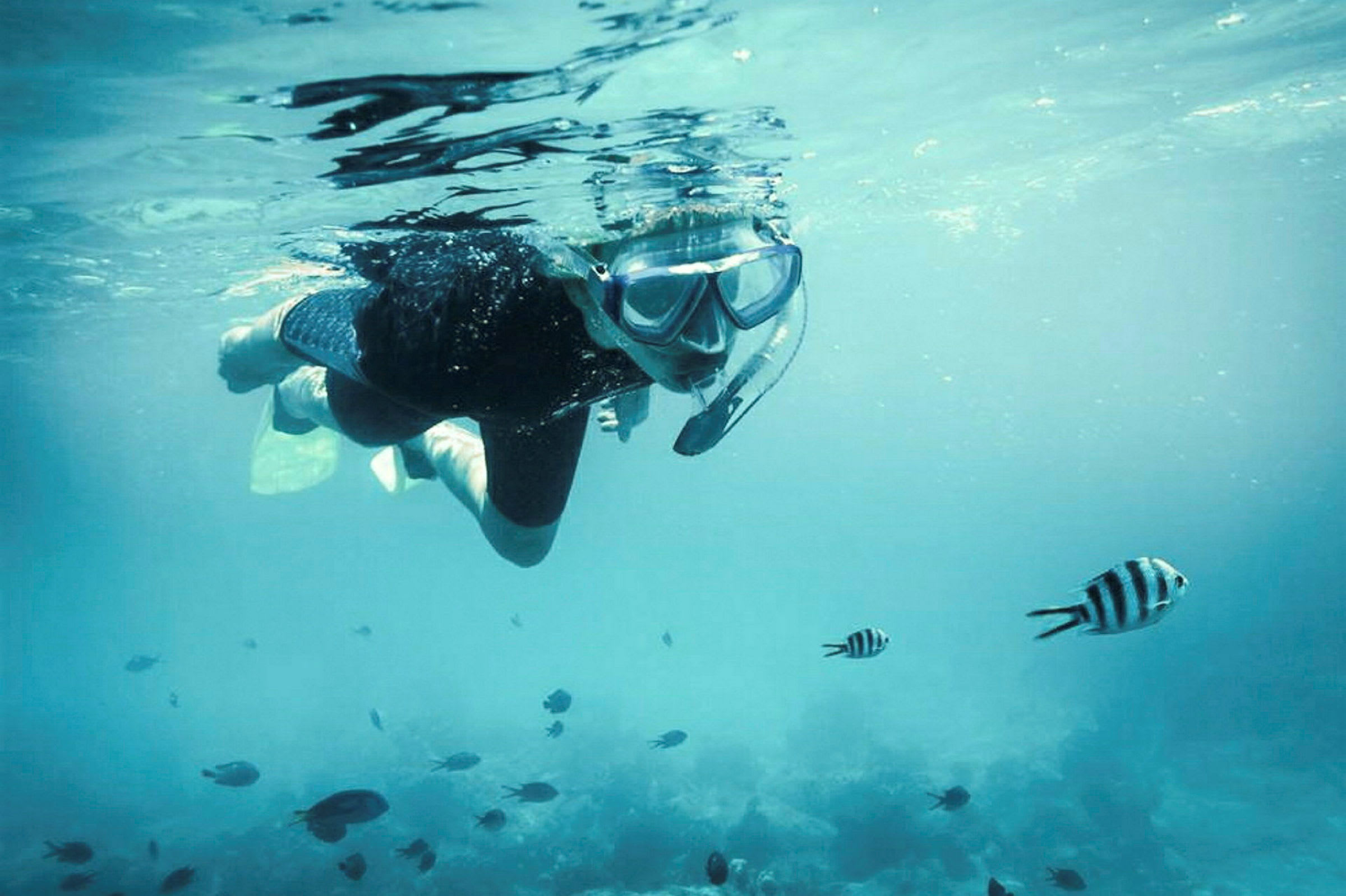 Person snorklar med fiskar i havet. (AI-genererad text)