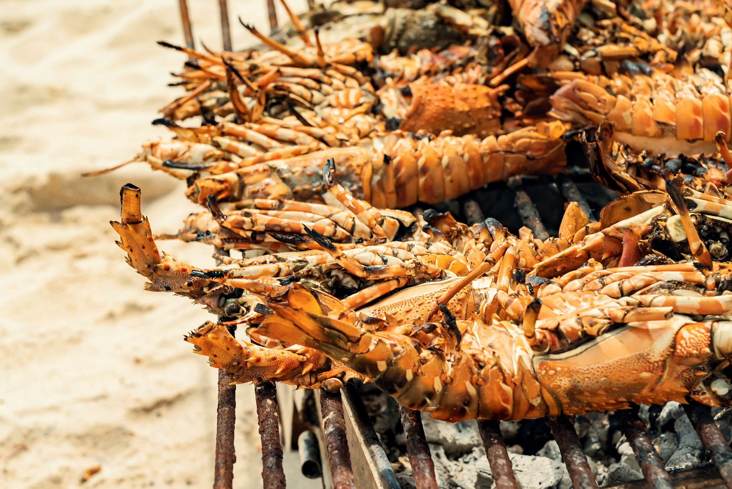 Grillade humrar på en grill med sand i bakgrunden. (AI-genererad text)
