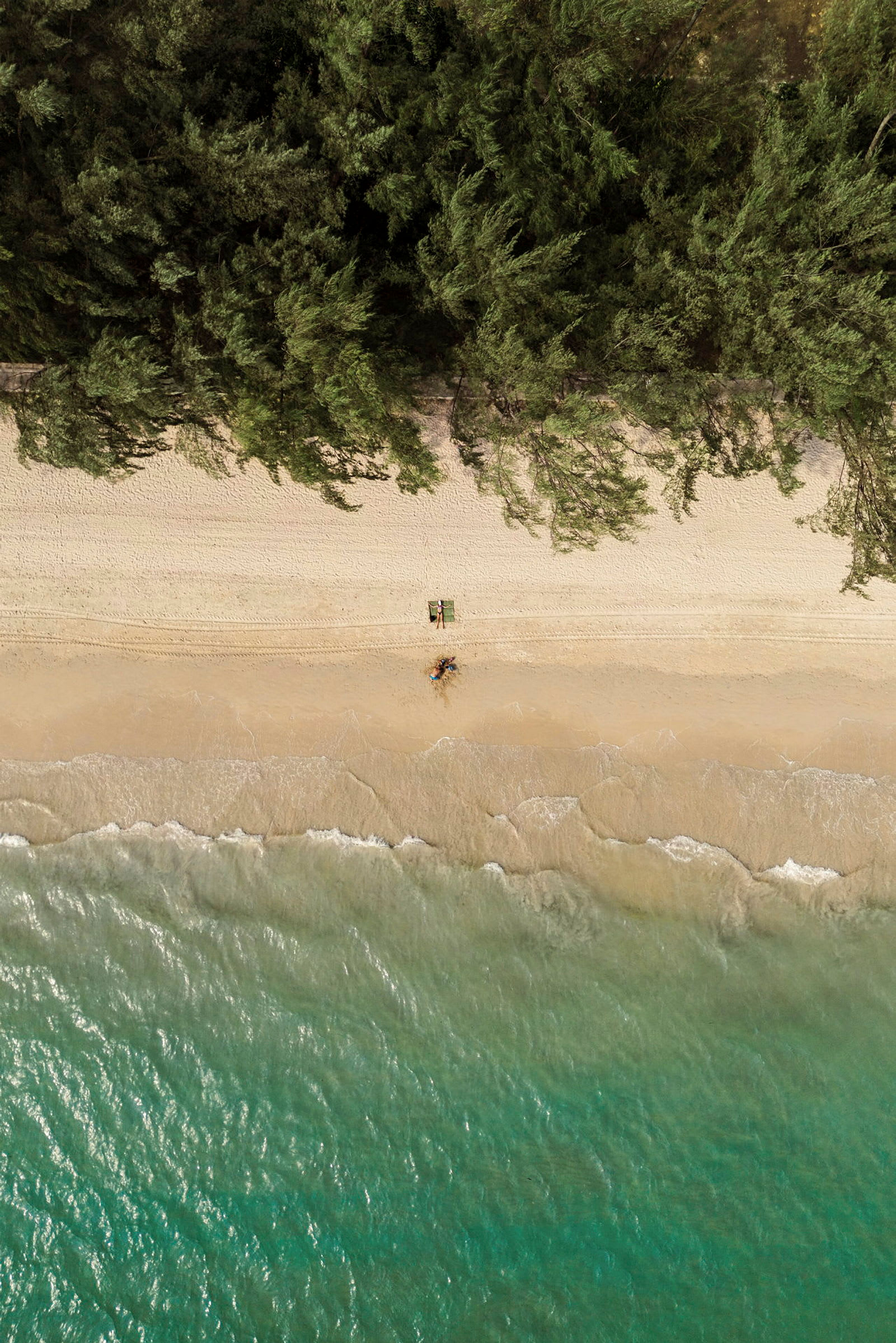 Flygfoto av en strand med träd i bakgrunden och personer på stranden. (AI-genererad text)