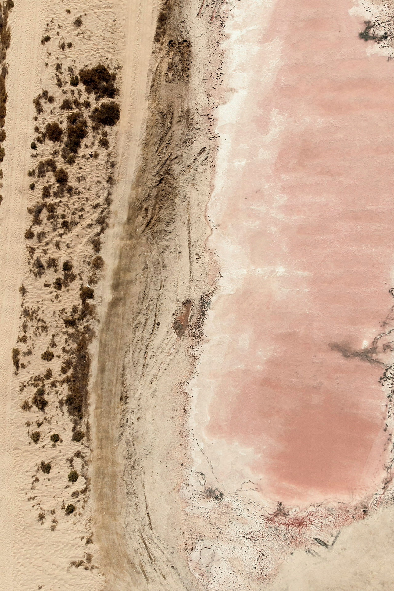 Flygfoto av en rosa sandformation med växtlighet på ena sidan. (AI-genererad text)